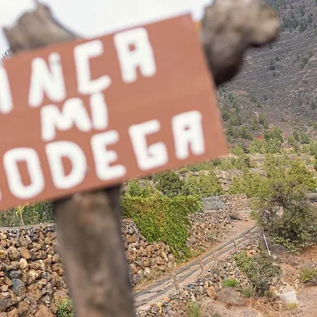 Apartment Live Estudio Mi Bodega Santa Cruz de Tenerife